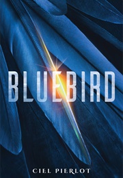 Bluebird (Ciel Pierlot)