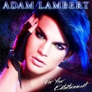 'For Your Entertainment' by Adam Lambert (2009)