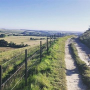 Cranborne Chase and the West Wiltshire Downs
