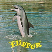 Flipper ("Flipper")