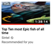 Sintel - Top Ten Most Epic Fish of All Time