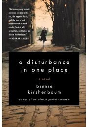 A Disturbance in One Place (Binnie Kirshenbaum)