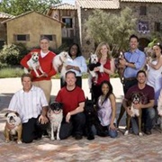 The Greatest American Dog