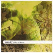 Stutterfly - Broken in Pieces...