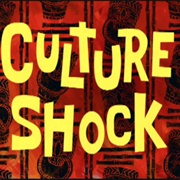 Be Prepared for Culture Shock.