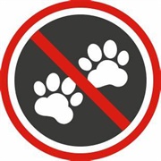 No Animal Products