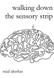 Walking Down the Sensory Strip (Sejal Akerkar)