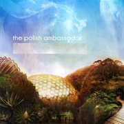The Polish Ambassador Ft. Ayla Nereo – Live Inside a Dream