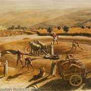 Threshing Floor