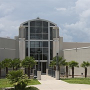 Samuel P. Harn Museum of Art