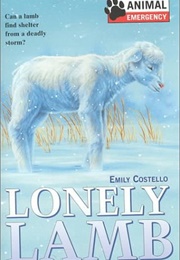 Lonely Lamb (Emily Costello)