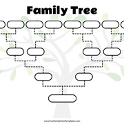 Researched Your Family Tree
