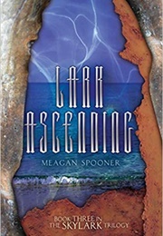 Lark Ascending (Meagan Spooner)