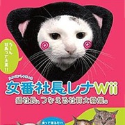 Sukeban Shachou Rena (Nintendo Wii, 2009)