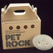 1975: The Pet Rock