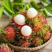 Rambutan