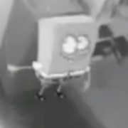 Nicktoons Caught on Tape