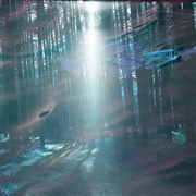 Mala Herba - Omnia Vanitas