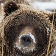 Ivvavik National Park (YK)