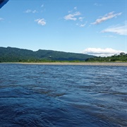 Manú