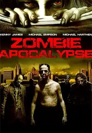 Zombie Apocalypse (2010)