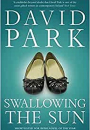Swallowing the Sun (David Park)
