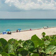 Macarthur Beach State Park