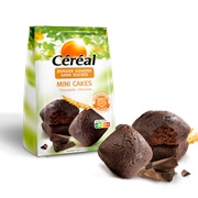 Mini Cakes Chocolade