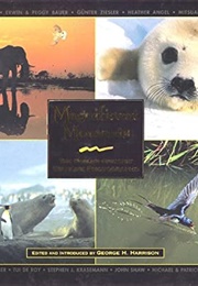 Magnificent Moments (George H Harrison)