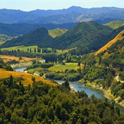 Whanganui River Road