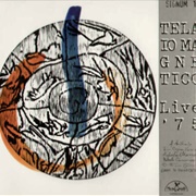 Telaio Magnetico - Live '75