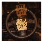 Pup - Dvp