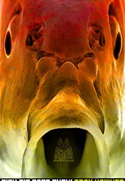 Fish Pie Face Fuck (Sean Hawker)