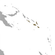 Fardoulis's Blossom Bat