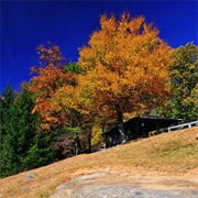 Dick's Knob, Georgia