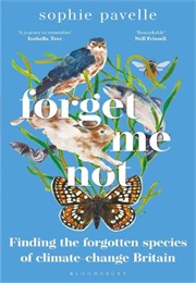 Forget Me Not (Sophie Pavelle)