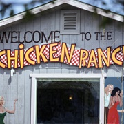 Paid for a Prostitute, Legal or Not