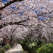 Tetsugaku No Michi, Kyoto