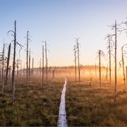 Patvinsuo National Park