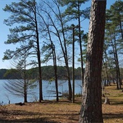 Puckett, Mississippi