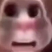 Boy What the Hell Boy