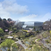 Makino Botanical Gardens, Kochi