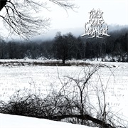 This White Mountain--The Final Sorrow