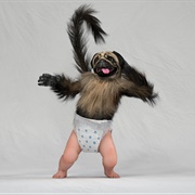 Puppymonkeybaby