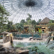 Zooparc De Beauval, France