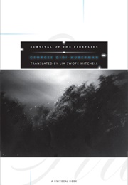 Survival of the Fireflies (Georges Didi-Huberman)