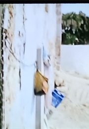 Clara (Daniel Neyts) (1972)