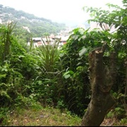 Countryside Around Taipei