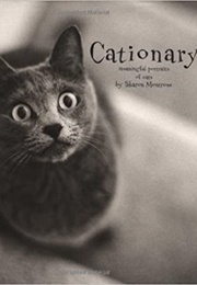 Cationary: Meaningful Portraits of Cats (Sharon Montrose)