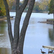 Island Lake, Illinois